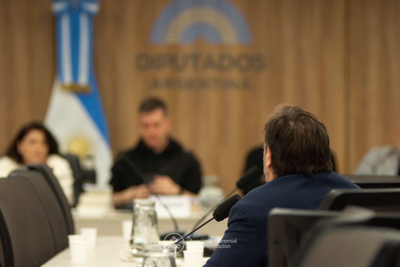 El sindicato informático fue al Congreso a decir lo que nadie más dijo sobre Palantir y la industria IT